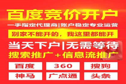 某品牌SEM广告投放的A/B测试与优化